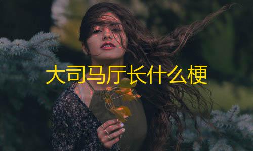 三角洲行动黑号批发大司马厅长什么梗